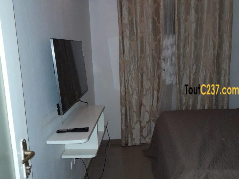 Appartement meublé à louer à Bonamoussadi
