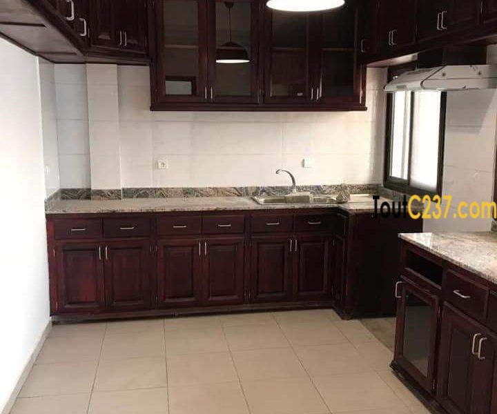 Vaste appartement à louer à Bonamoussadi