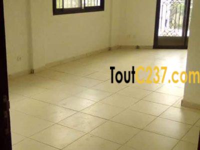 Vaste appartement à louer à Bonamoussadi