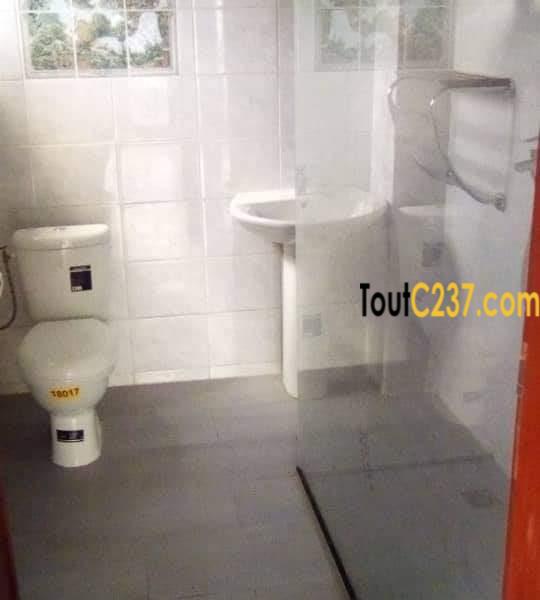 Vaste appartement à louer à Bonamoussadi