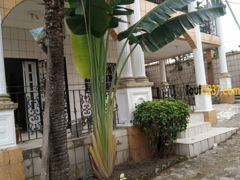 Duplex à louer à Logpom ( Soacam)