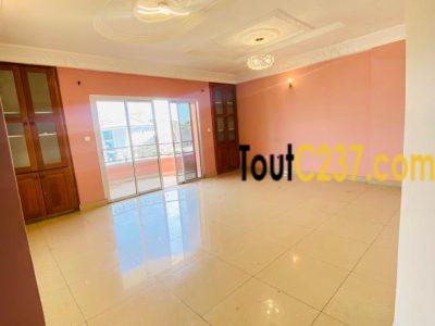 Appartement vip à louer à Bonamoussadi