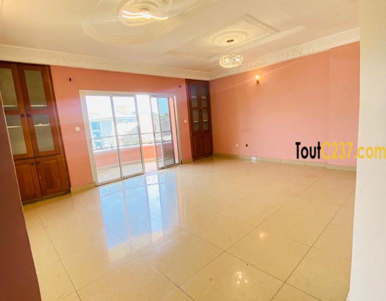 Appartement vip à louer à Bonamoussadi