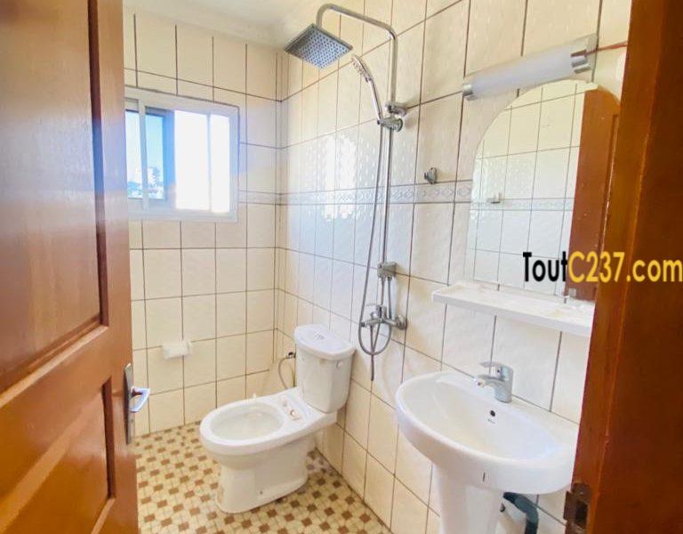 Appartement vip à louer à Bonamoussadi