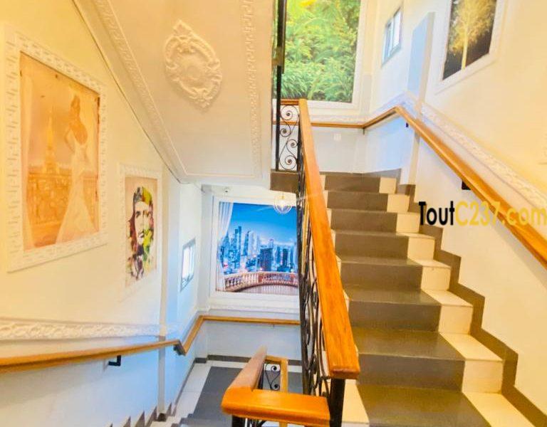 Appartement vip à louer à Bonamoussadi