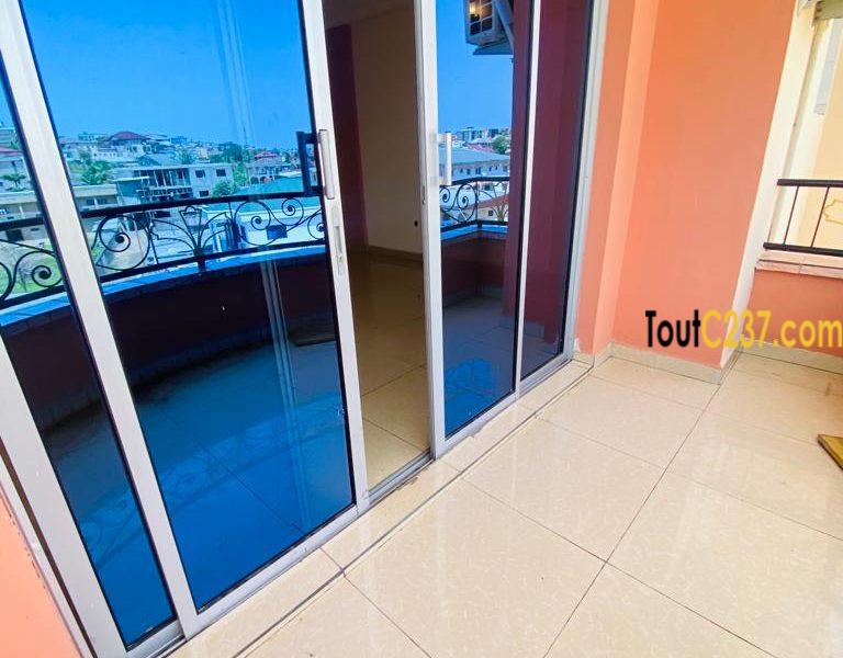 Appartement vip à louer à Bonamoussadi