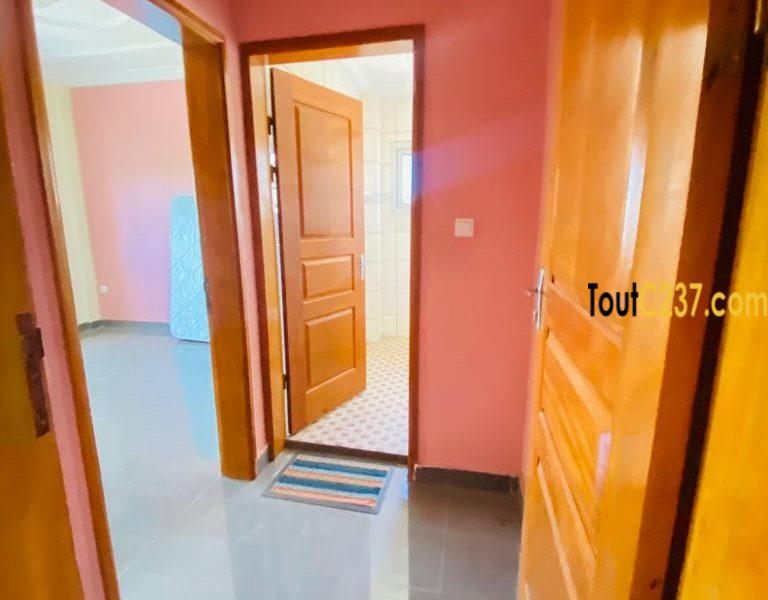 Appartement vip à louer à Bonamoussadi