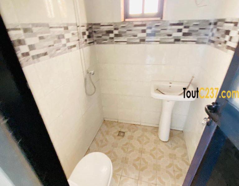 Appartement vip à louer à Bonamoussadi