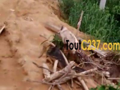 Terrain à vendre a Logbessou (Crtv)