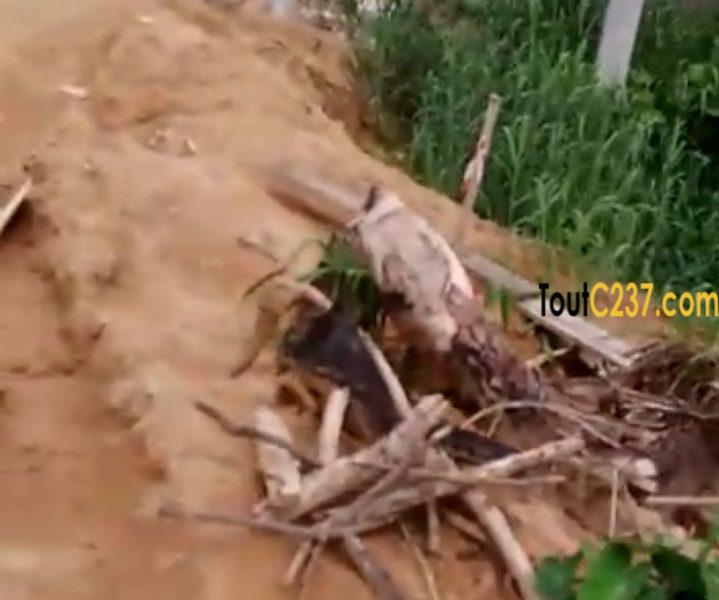 Terrain à vendre a Logbessou (Crtv)