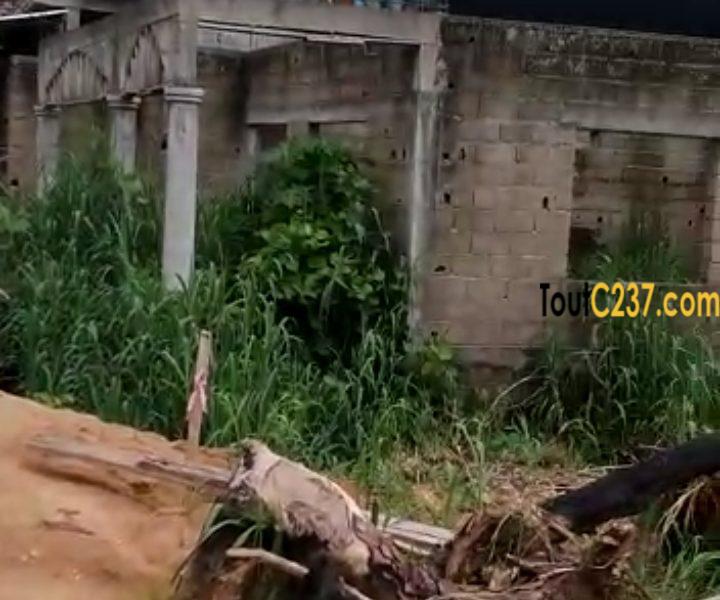 Terrain à vendre a Logbessou (Crtv)