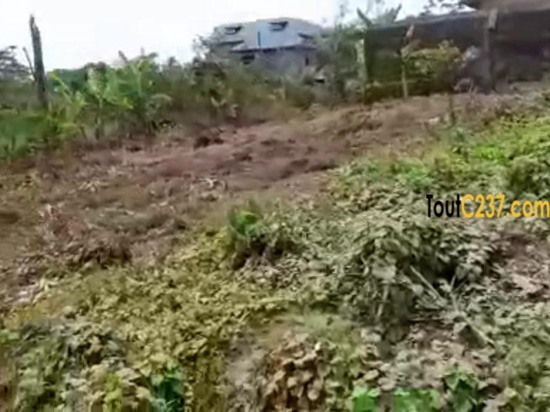 Terrain à vendre à Lendi, Douala