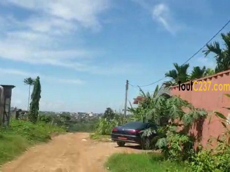 Hectare de terrain à vendre à Lendi