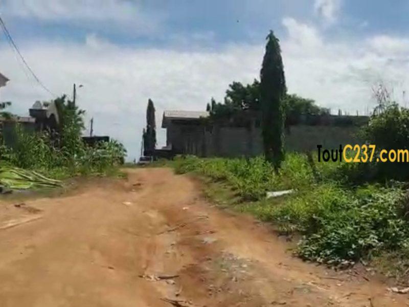 Hectare de terrain à vendre à Lendi