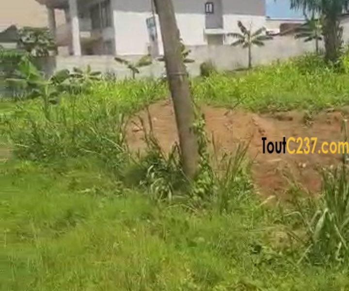 Terrain d'angle à vendre à Yassa