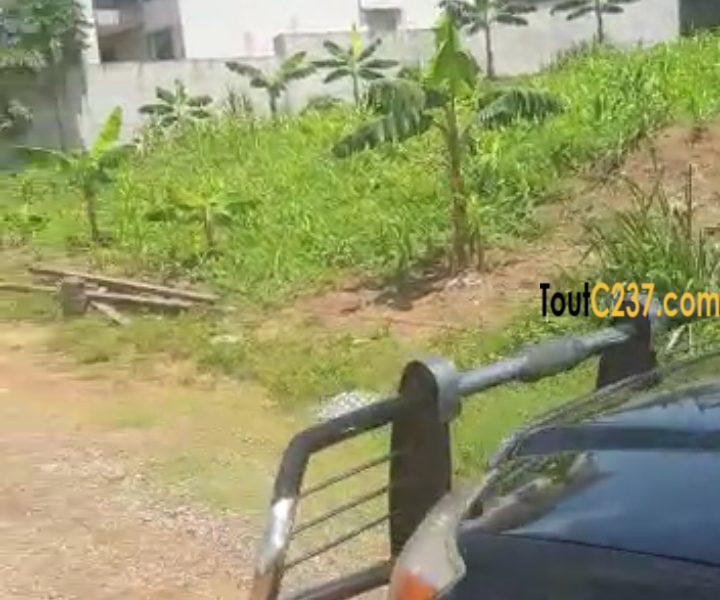 Terrain d'angle à vendre à Yassa