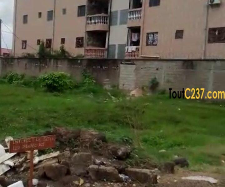 Terrain à vendre à Bonadiwoto, Doula