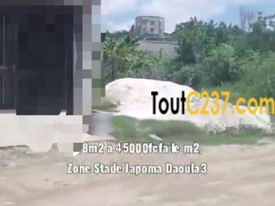 Terrain à vendre à Japoma, Douala