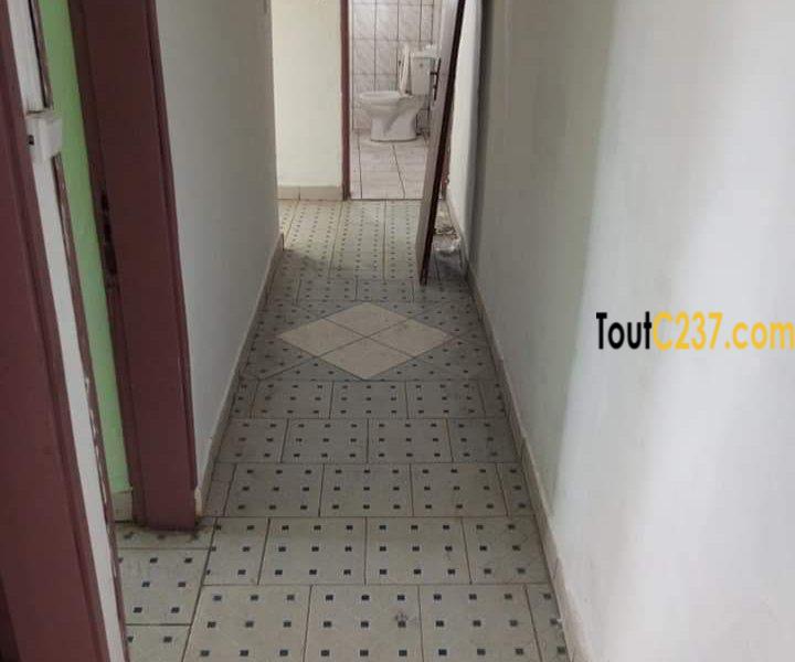 Appartement à louer à Bonapriso Douala