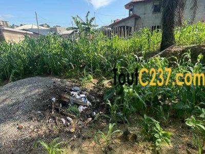Terrain à vendre à vendre a Kotto