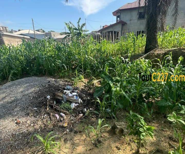 Terrain à vendre à vendre a Kotto