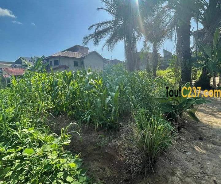 Terrain à vendre à vendre a Kotto