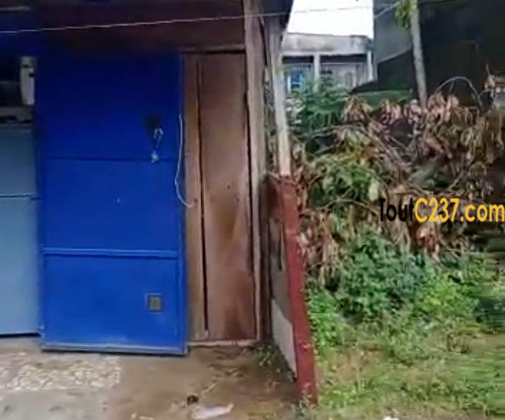 Terrain commercial à vendre à Kotto