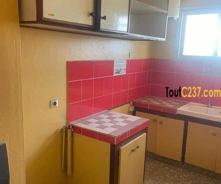 Studio moderne à louer à Bali, Douala