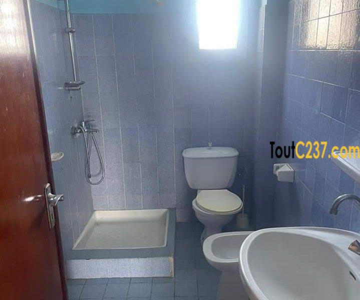 Studio moderne à louer à Bali, Douala