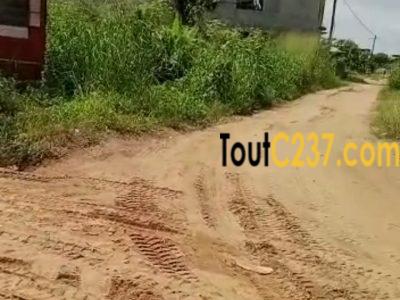 Terrain à vendre à Lendi (Chefferie)