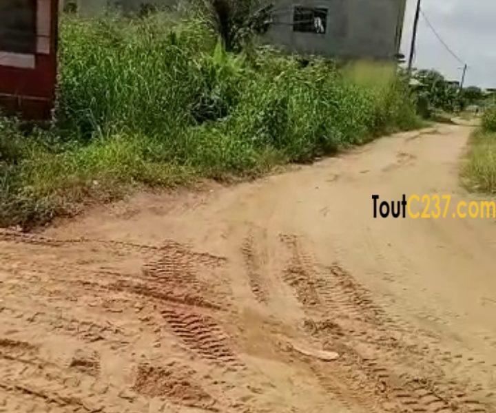 Terrain à vendre à Lendi (Chefferie)