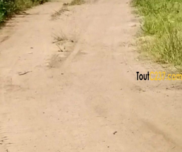 Terrain à vendre à Lendi (Chefferie)