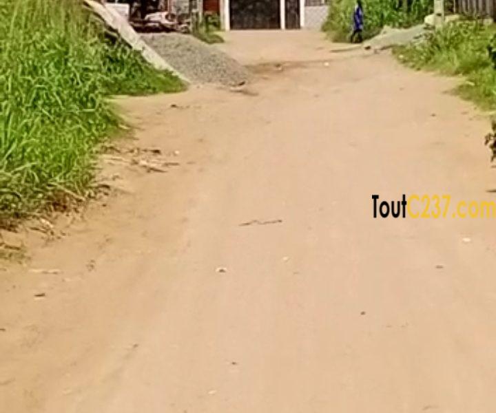 Terrain à vendre à Lendi (Chefferie)