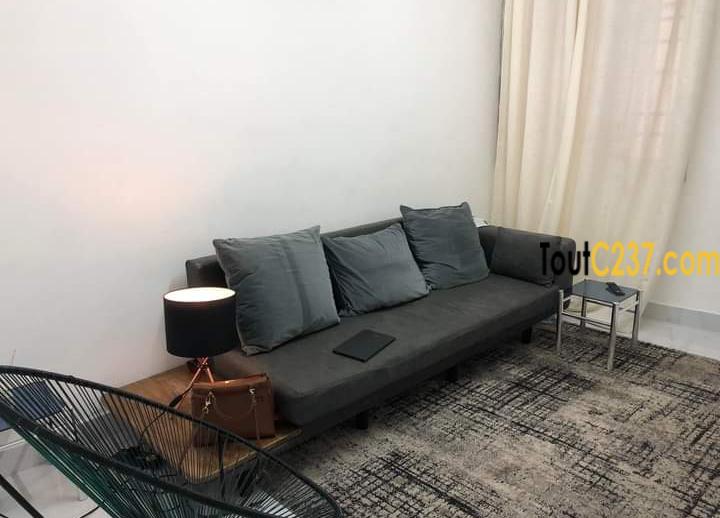 Studio meublé à louer à Bonanjo