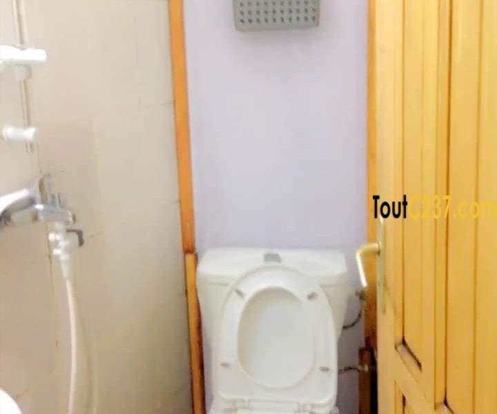 Studio meublé à louer à Bonanjo