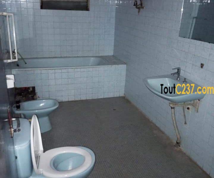 Maison a louer à Bonapriso, Douala