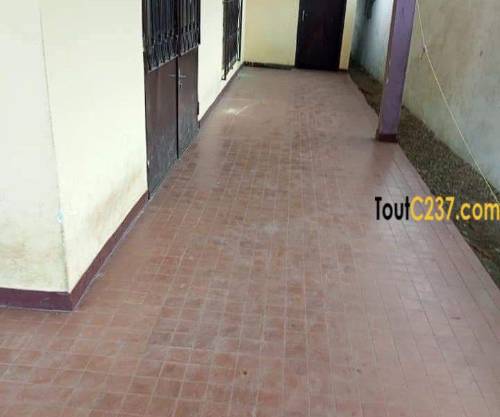 Maison a louer à Bonapriso, Douala