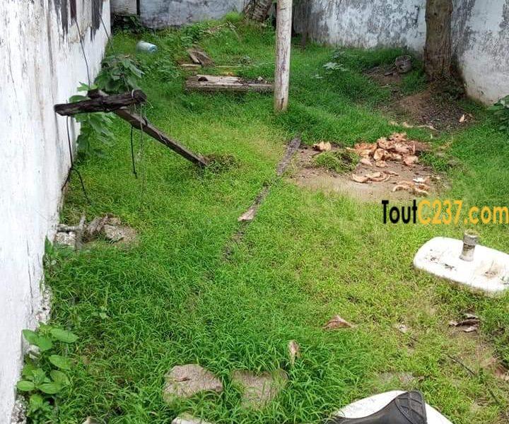 Maison a louer à Bonapriso, Douala