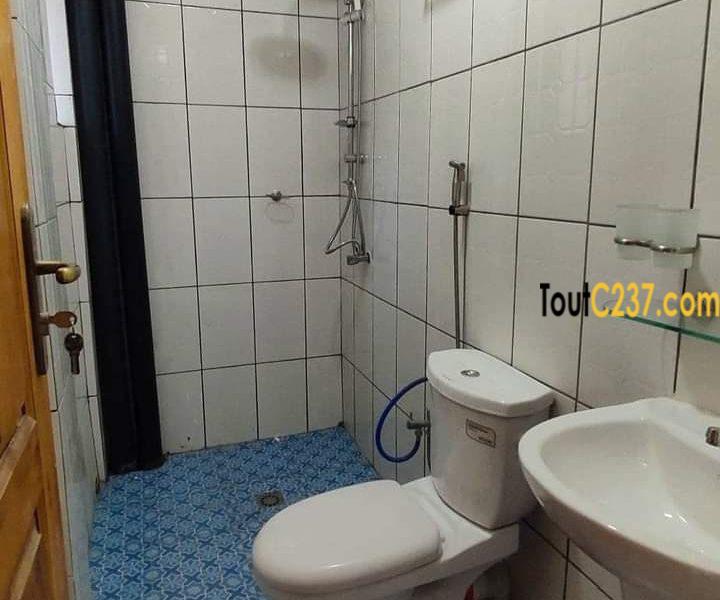 Studio moderne à louer a Bonamoussadi