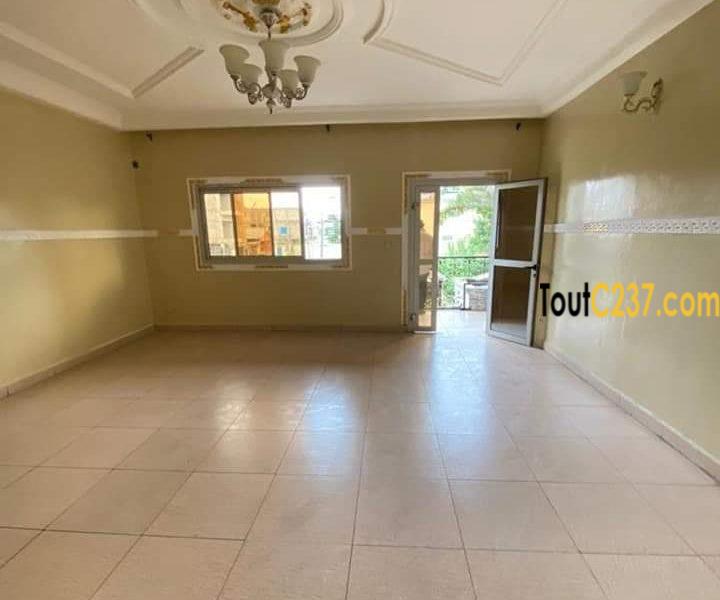 Appartement à louer à Bonamoussadi