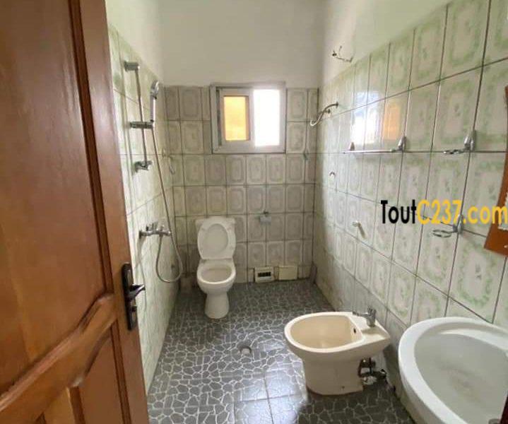 Appartement à louer à Bonamoussadi