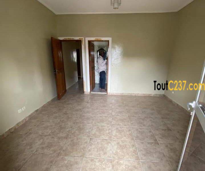 Appartement à louer à Bonamoussadi