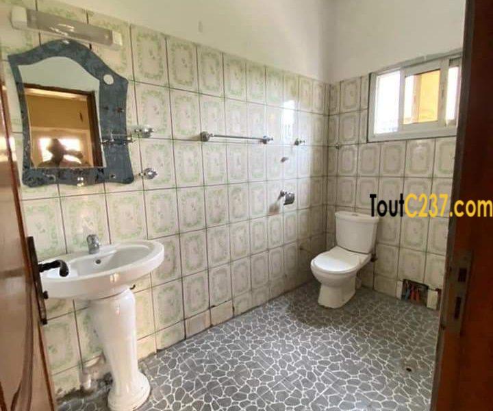 Appartement à louer à Bonamoussadi