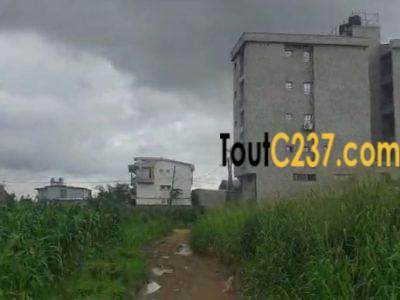 Terrain a vendre a Logpom (njoya)