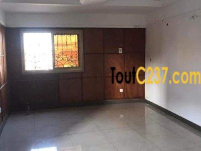 Studio moderne à louer à Bali