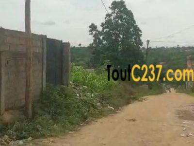 Terrain à vendre à Lendi (Chefferie)