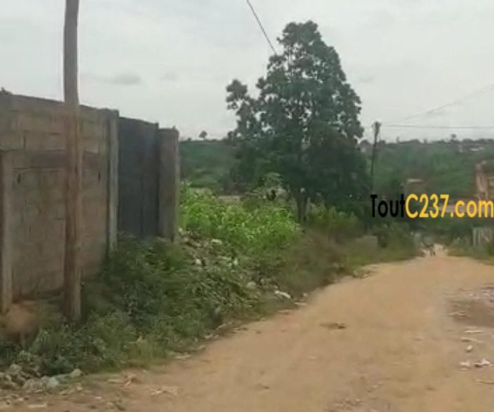 Terrain à vendre à Lendi (Chefferie)