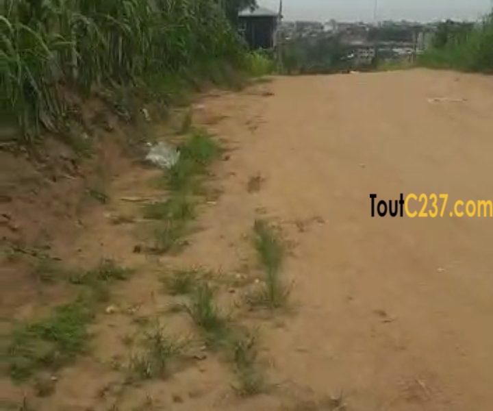 Plusieurs lots de terrain à vendre lendi