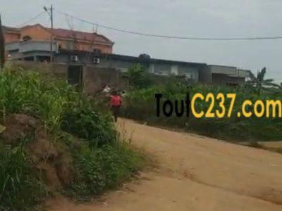 Plusieurs lots de terrain à vendre lendi