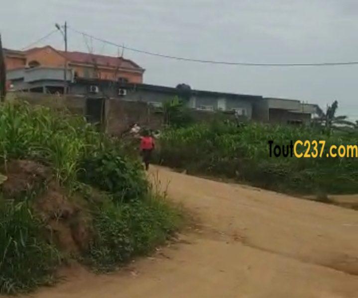 Plusieurs lots de terrain à vendre lendi